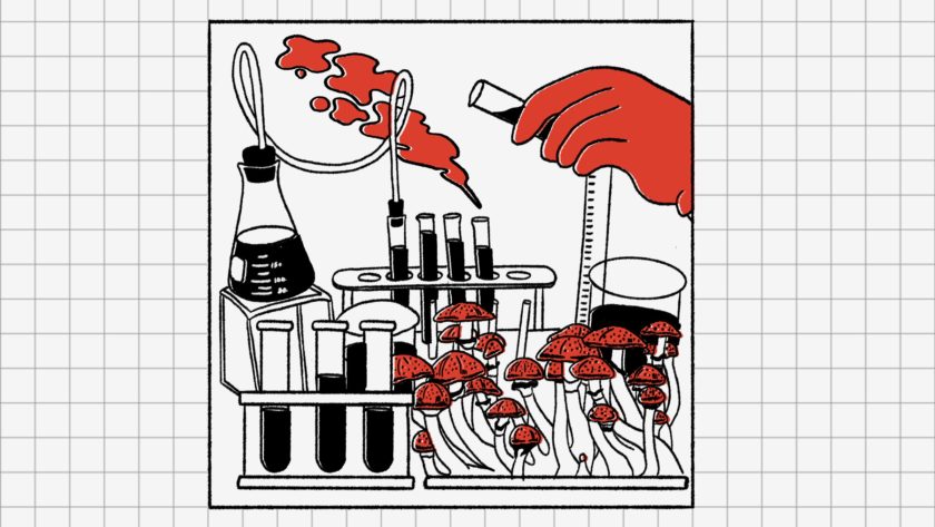 L’avènement des pilules de psilocybine